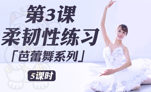 第3课：柔韧性练习「芭蕾舞系列」